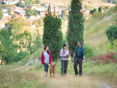 naturpark reinhardswald   diemeltal eberschuetz np paavoblafield
