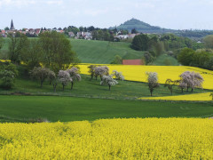 weldaer berg umfeld   wolfgang peters