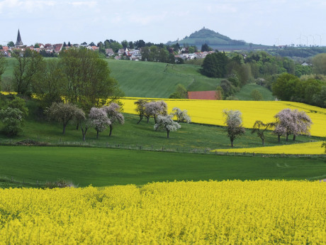 weldaer berg umfeld   wolfgang peters