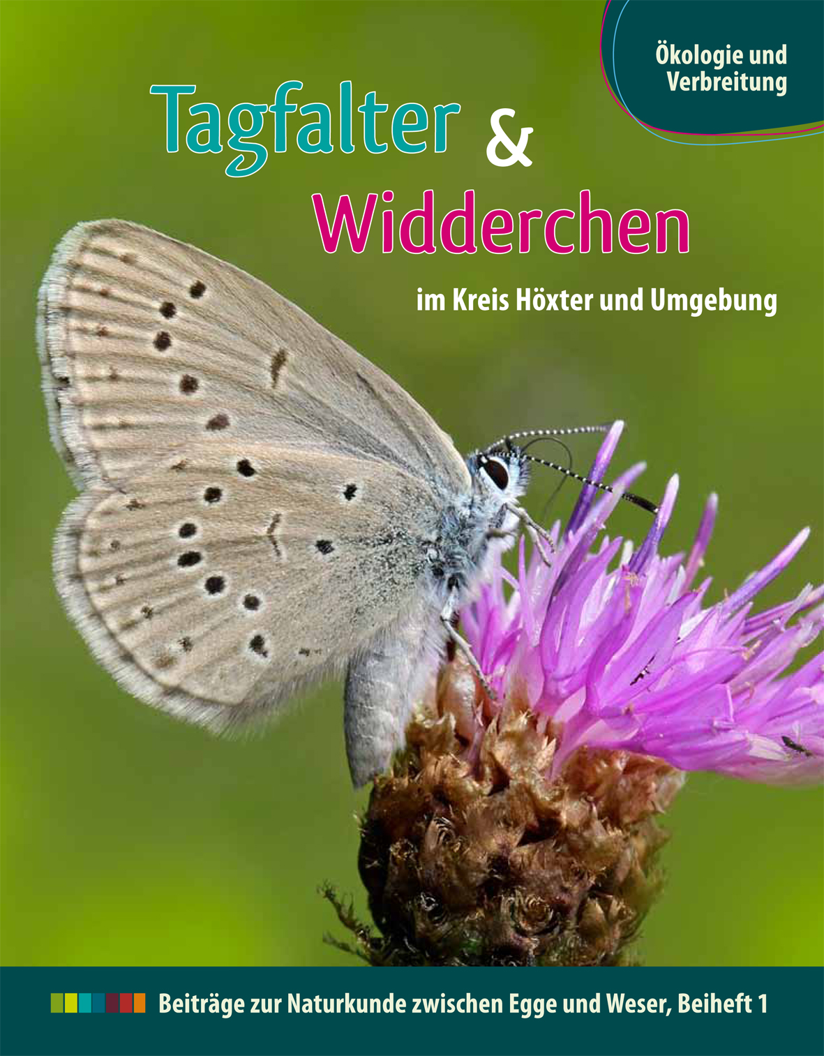 Flyer DSS Titel